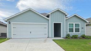 339 Desert Willow Way (Elgin)