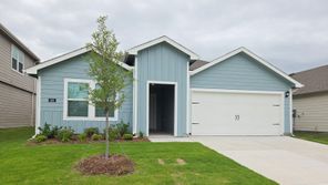 243 Desert Willow Way (Elgin)
