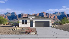 25482 W Bowker Street (Harris)