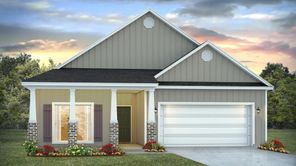 18441 Spring Hill Drive (The Arlington)
