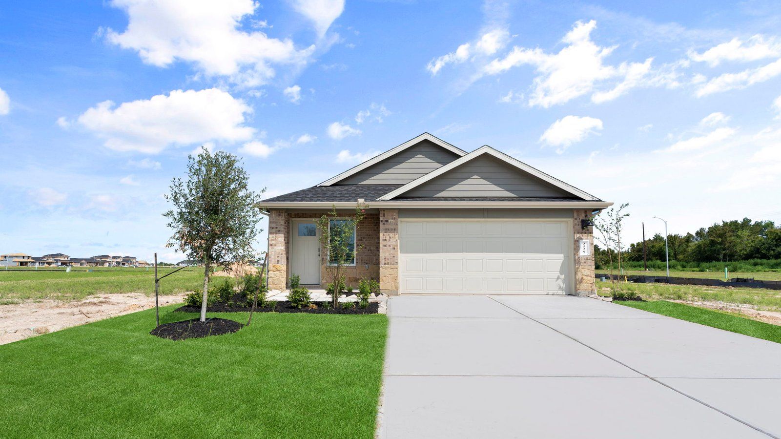 Diana - Lakes at Westland Ranch: Alvin, Texas - D.R. Horton Basic