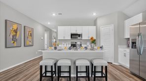 10805 BLOODSTONE DRIVE (TEXAS CALI)
