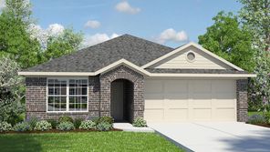 5515 Bowie Mountain (The Knight)