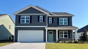 1017 Pampas Grass Drive Lot 321 (HAYDEN)