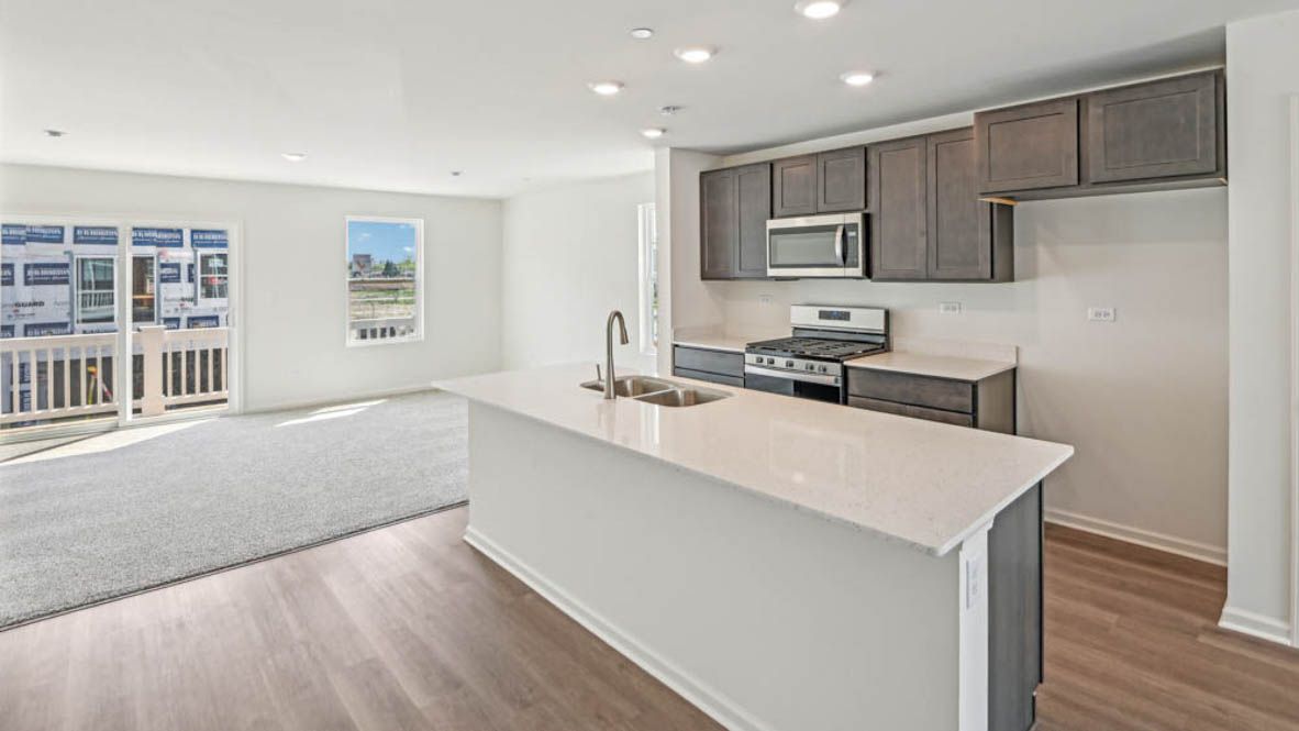 GARFIELD - Oak Ridge Townhomes: Tinley Park, Indiana - D.R. Horton