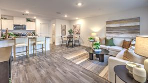 919 BLACK HERON ST (1309)