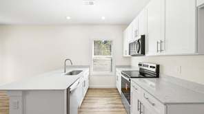 1197 Wenna Way (Mitchell Townhome)