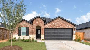 10730 Dogwood Sky Dr (Harris)