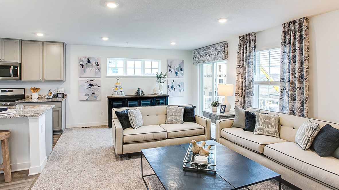 Hinton Woods Express Townhomes - Cottage Grove, MN