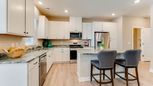 Balsam Pointe Townhomes by D.R. Horton in Minneapolis-St. Paul Minnesota