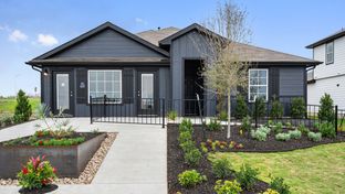 The Irvine - Durango: Mustang Ridge, Texas - D.R. Horton