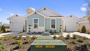 The Sarah - Wayside: Uhland, Texas - D.R. Horton