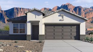 Cardinal - Desert Moon Estates: Buckeye, Arizona - D.R. Horton
