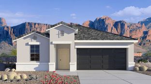 Abbot - Desert Moon Estates: Buckeye, Arizona - D.R. Horton