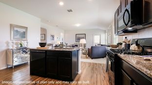 The Brown - Riverstone at Westpointe: San Antonio, Texas - D.R. Horton