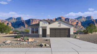 Cardinal - Copper Falls: Buckeye, Arizona - D.R. Horton