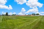 Mountain View Ranch - Wellington, CO