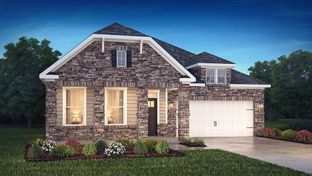 Cedar - Westport Freedom Series: York, North Carolina - D.R. Horton Basic
