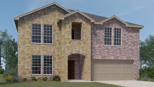H204 Medbourne - Sutton Fields: Celina, Texas - D.R. Horton Basic