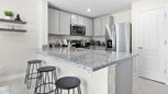 The Vineyards Townhomes - Holly Hill, FL