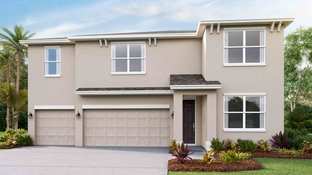 Torino - Coddington: Bradenton, Florida - D.R. Horton Basic