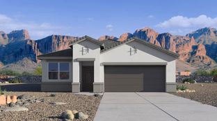 Cardinal - Western Crossing: Florence, Arizona - D.R. Horton