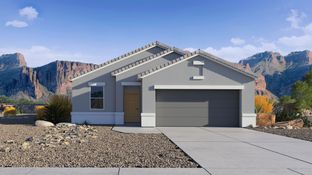 Dalton - Radiance At Superstition Vistas: Apache Junction, Arizona - D.R. Horton