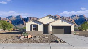 Taylor - Western Crossing: Florence, Arizona - D.R. Horton
