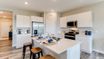 casa en Harvest View Express Select por D.R. Horton Basic