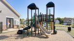 The Enclave at Falls Cove - Troutman, NC