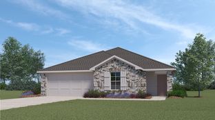 Camden - The Villages at Schwertner Ranch: Jarrell, Texas - D.R. Horton Basic