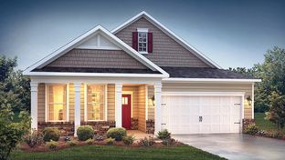 Bristol - Chestnut at Laurelbrook: Sherrills Ford, North Carolina - D.R. Horton
