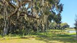 Twisted Oaks - Wildwood, FL