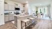 casa en Picard Farms por D.R. Horton