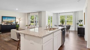 Aria - Millstone Village: Morristown, Tennessee - D.R. Horton