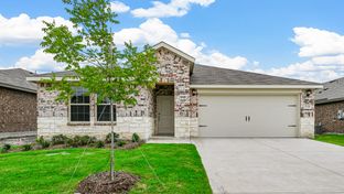 H133 Violet - Fireside by the Lake: Garland, Texas - D.R. Horton Basic