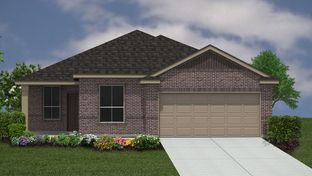 The Blanco - Steele Creek: Cibolo, Texas - D.R. Horton Basic