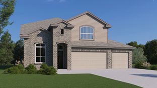 The Salerno - Steele Creek: Cibolo, Texas - D.R. Horton Basic