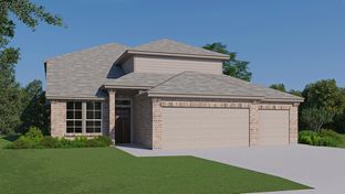 The Stallion - Steele Creek: Cibolo, Texas - D.R. Horton Basic