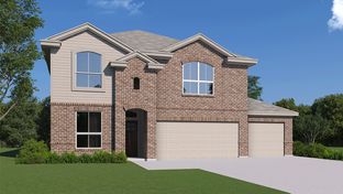 The Clydesdale - Steele Creek: Cibolo, Texas - D.R. Horton Basic