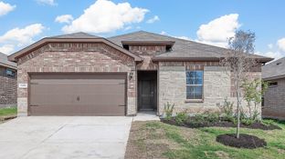 Tupelo - The Canyons: Keene, Texas - D.R. Horton Basic