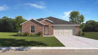 H133 Violet - Bel Air Village: Sherman, Texas - D.R. Horton
