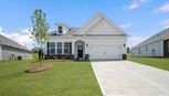 Whitehawk Meadows - Travelers Rest, SC