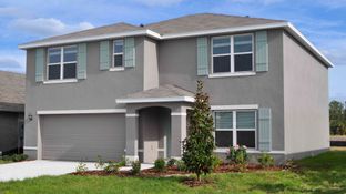 Hayden - Mandarin Grove: Palmetto, Florida - D.R. Horton Basic