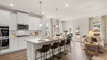 Heritage Pointe - Senoia, GA
