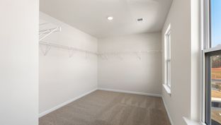 Shane - Treemont Commons: Wellford, South Carolina - D.R. Horton