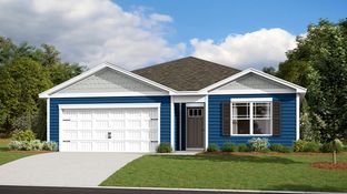 CALI - Birdsong Village: Salisbury, Delaware - D.R. Horton Basic