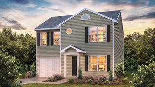 Rachel - Lightwood Cottages: Moore, South Carolina - D.R. Horton