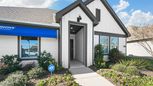 Enclave at Pecan Creek - Providence Village, TX