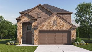 2433 Stafford - The Woods at Lindsey Place: Anna, Texas - D.R. Horton